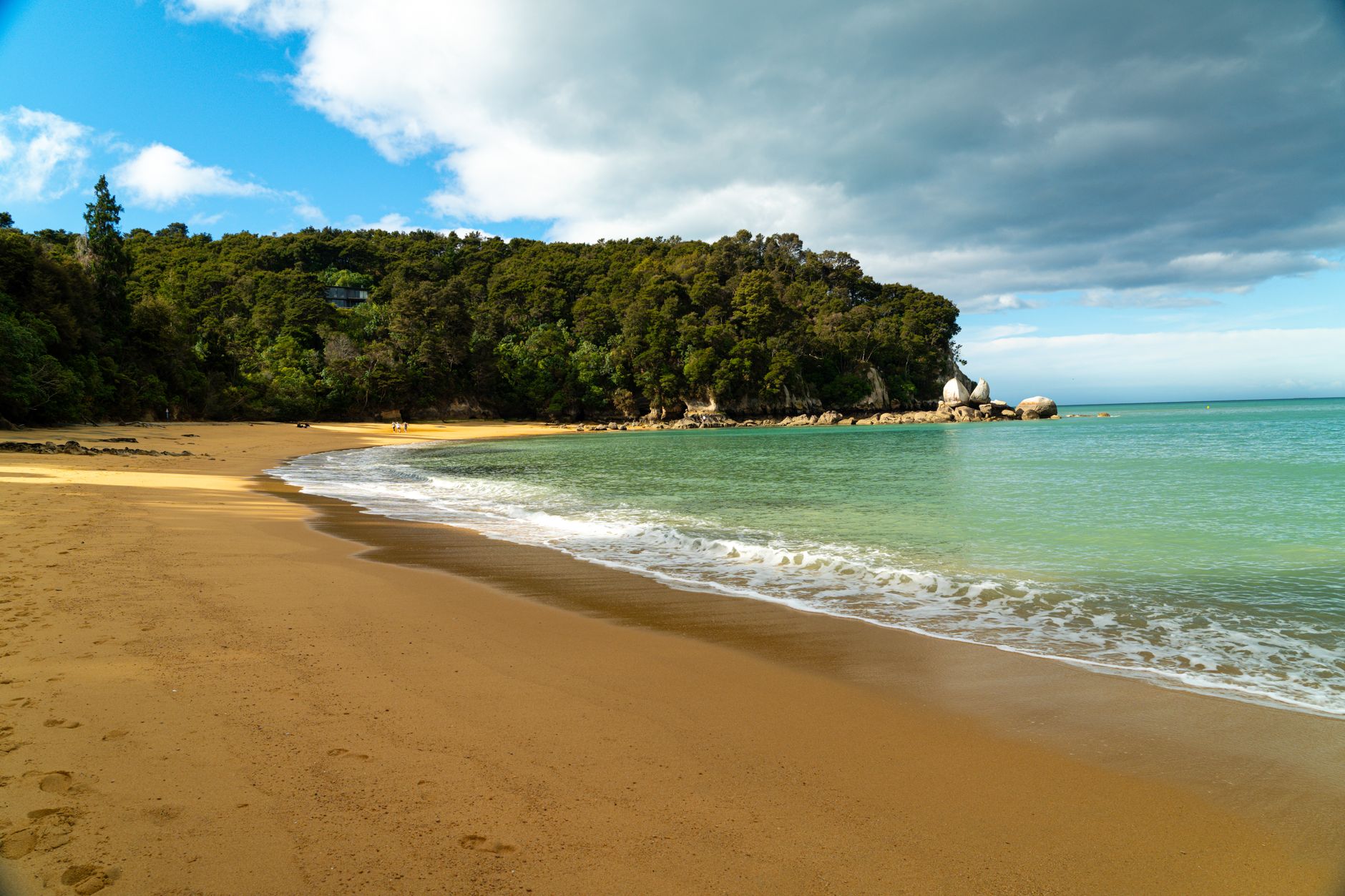White sandy beach and turquoise ocean in Abel Tasman New Zealand